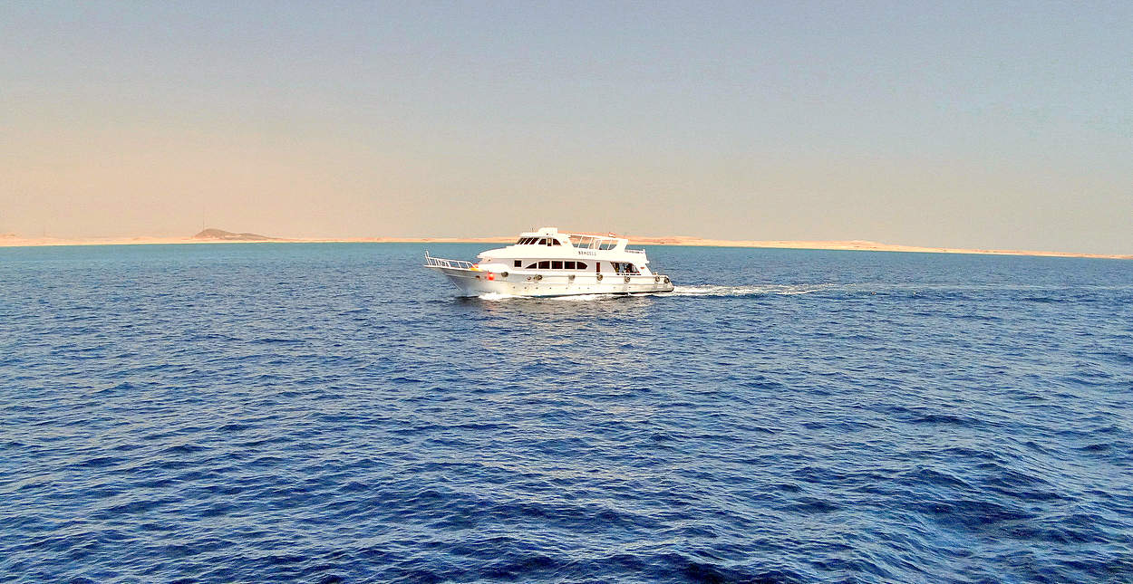 Вдоль берега Синая