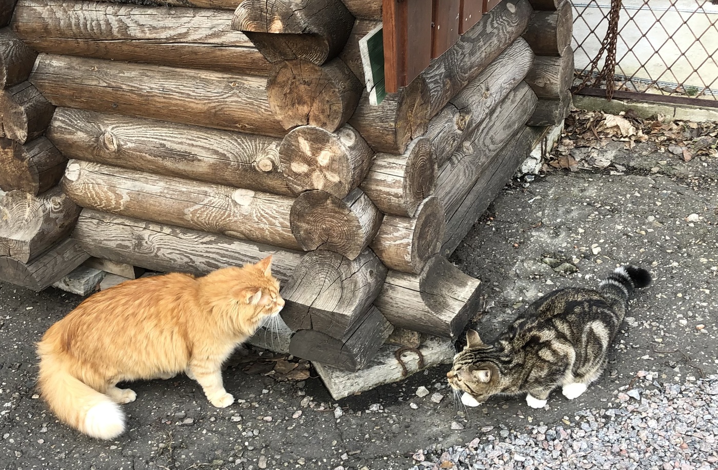 Знакомство