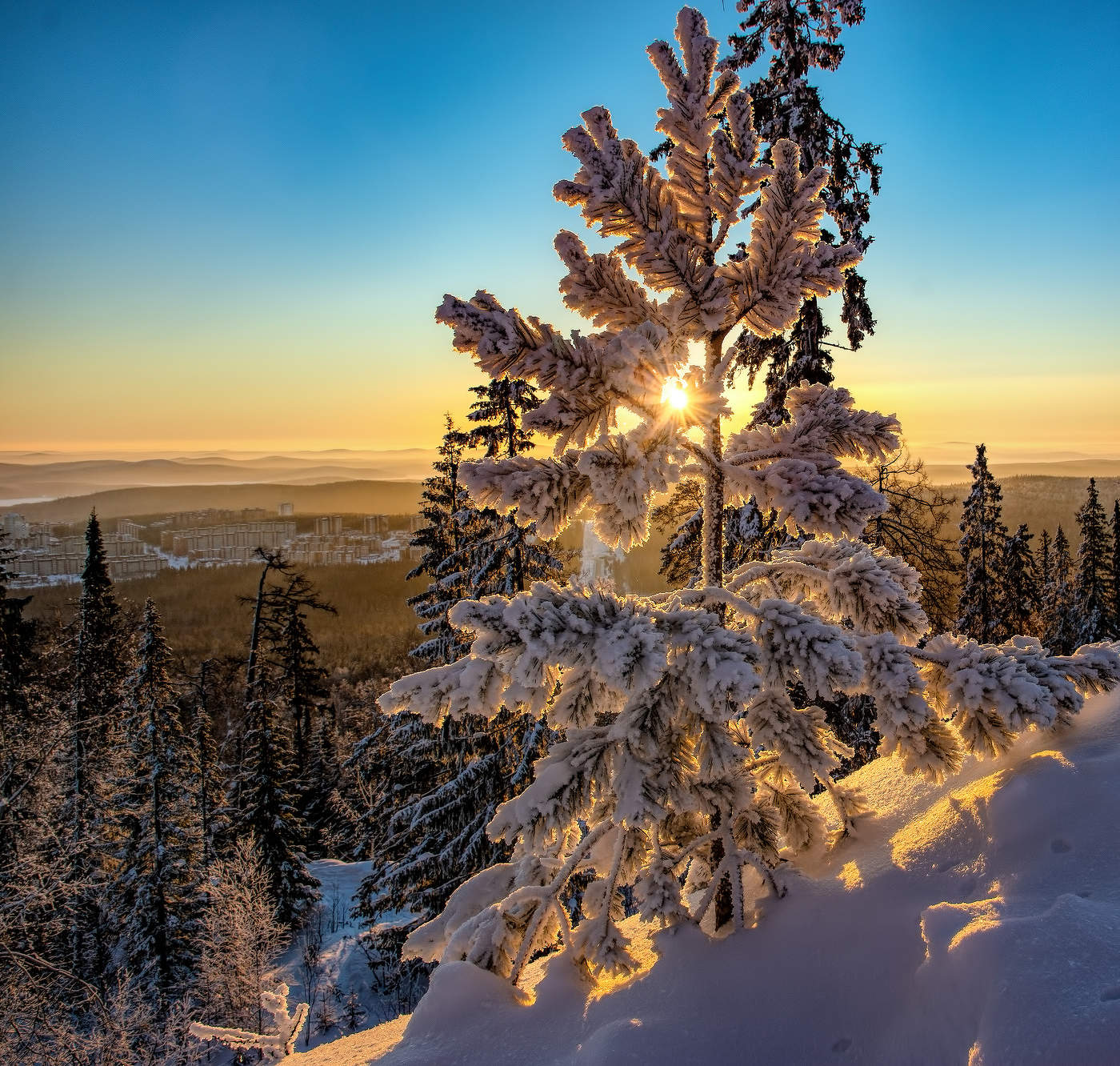 Зимнее утро