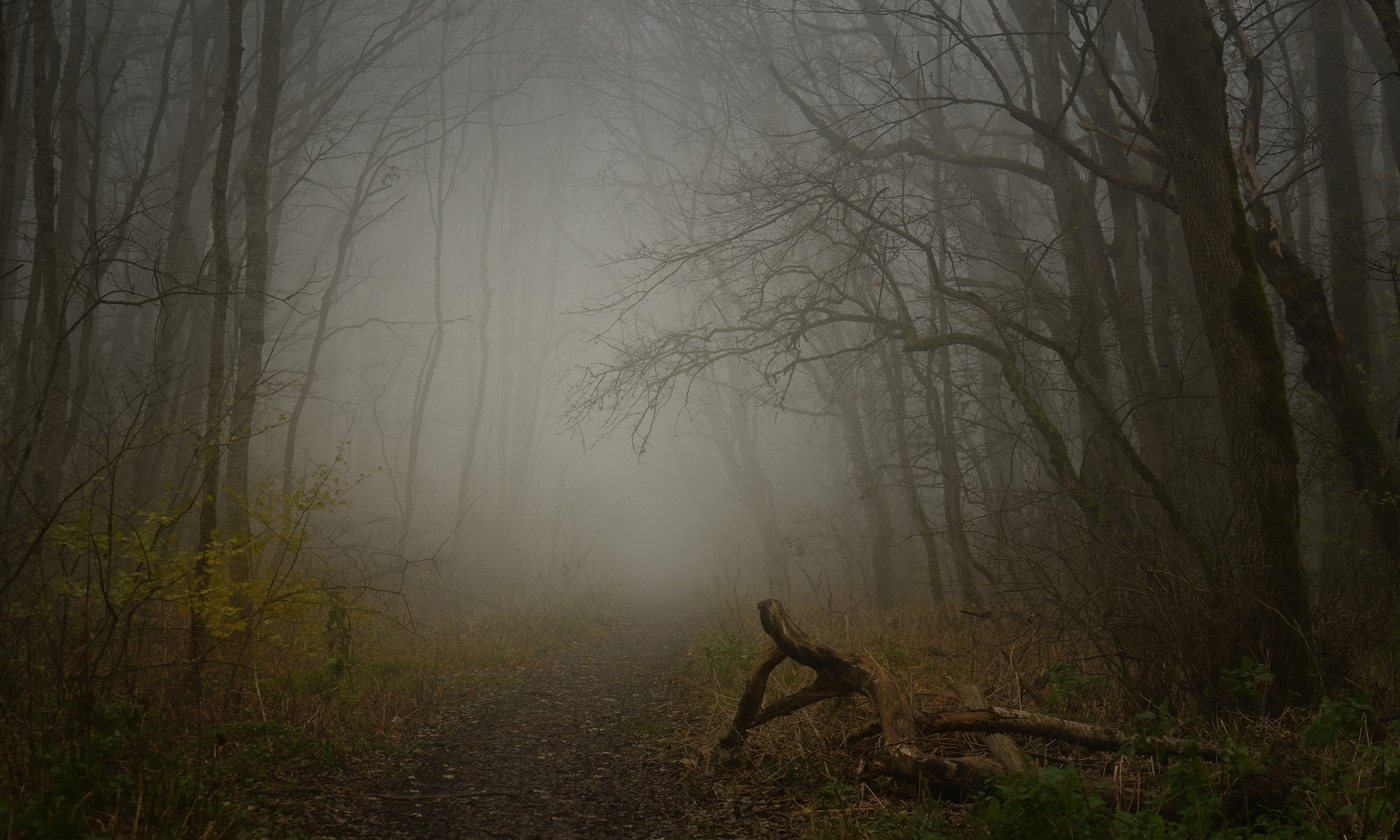 Туманная тропа
