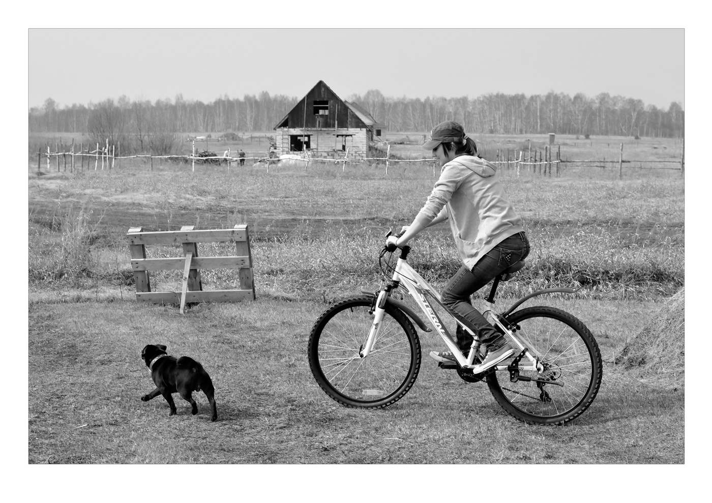 На сельских просторах