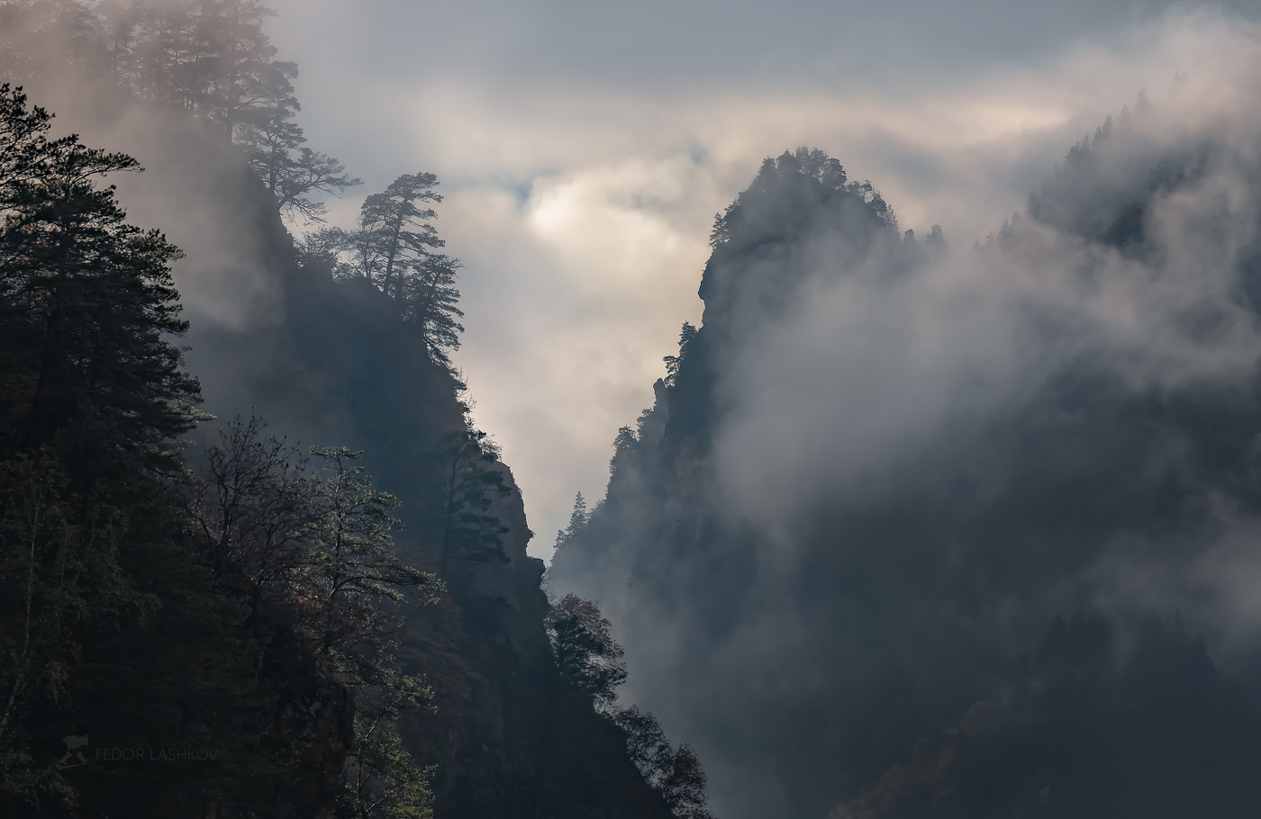 В ожидание света