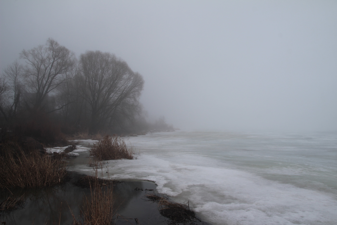 Туман на озере