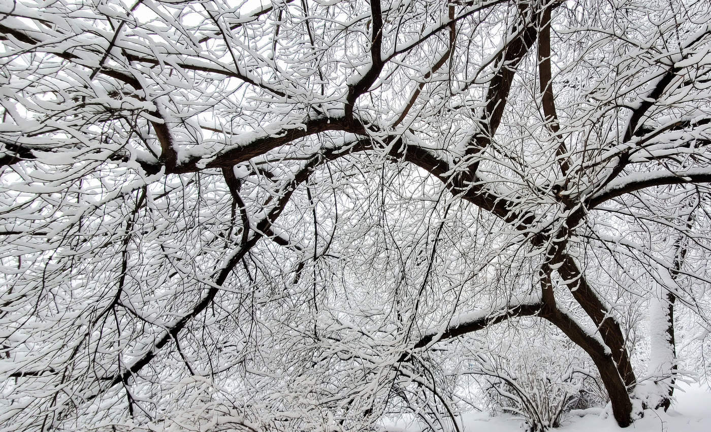 Мартовский снегопад (Санкт-Петербург 29.03.2023)