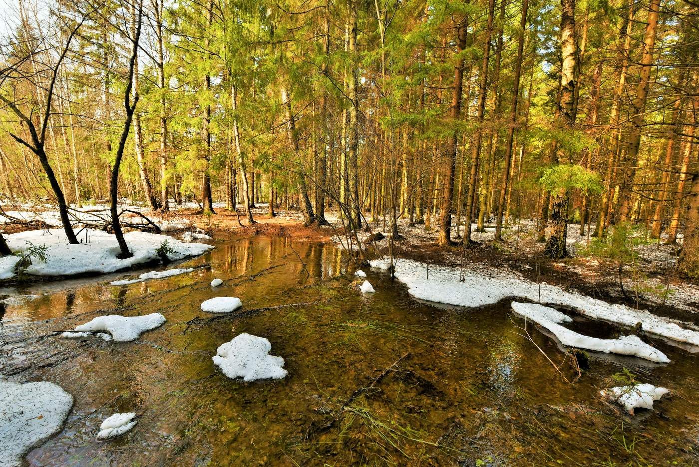 "Сугробов белых каравеллы исчезли в мартовских ручьях..."