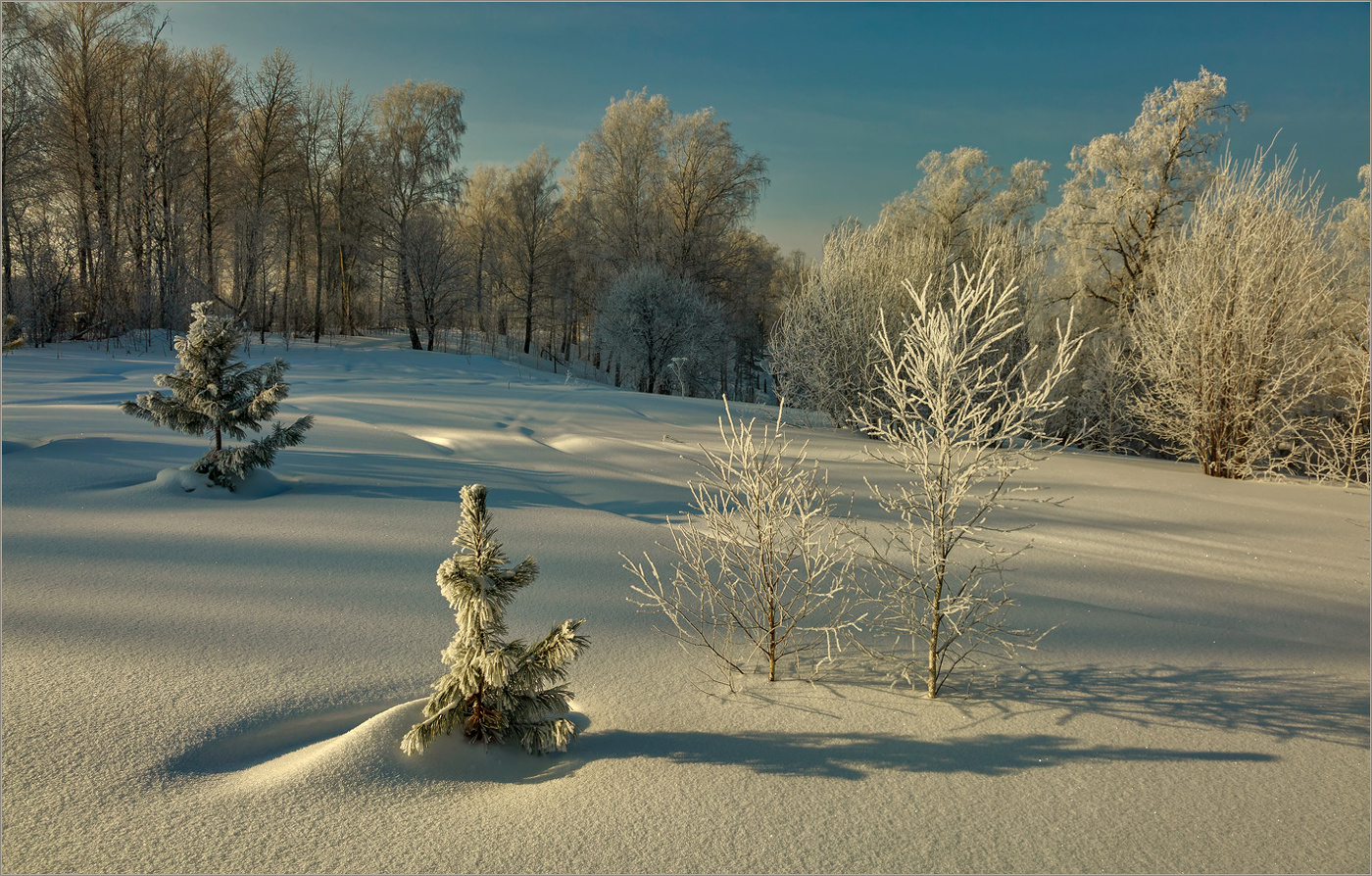 Зимний сюжетик...