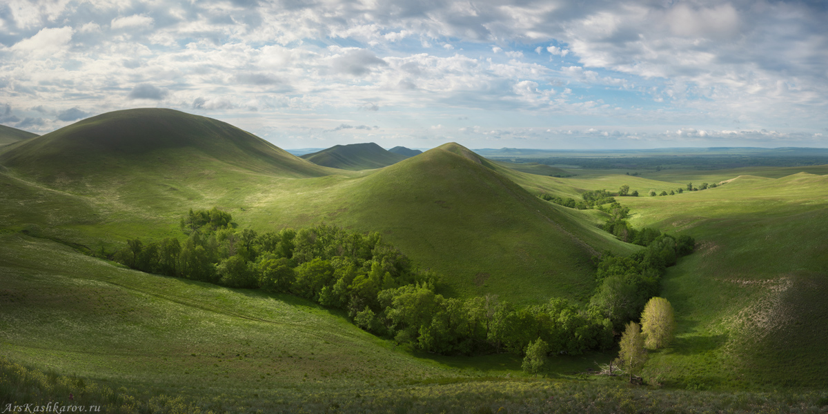 "Изумрудные холмы"