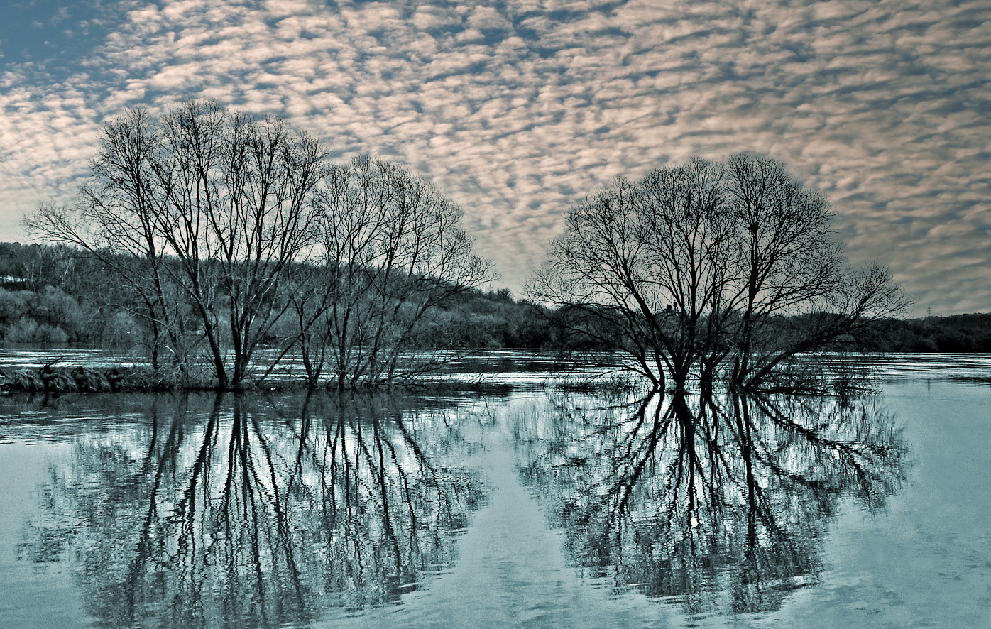Прозрачный апрель