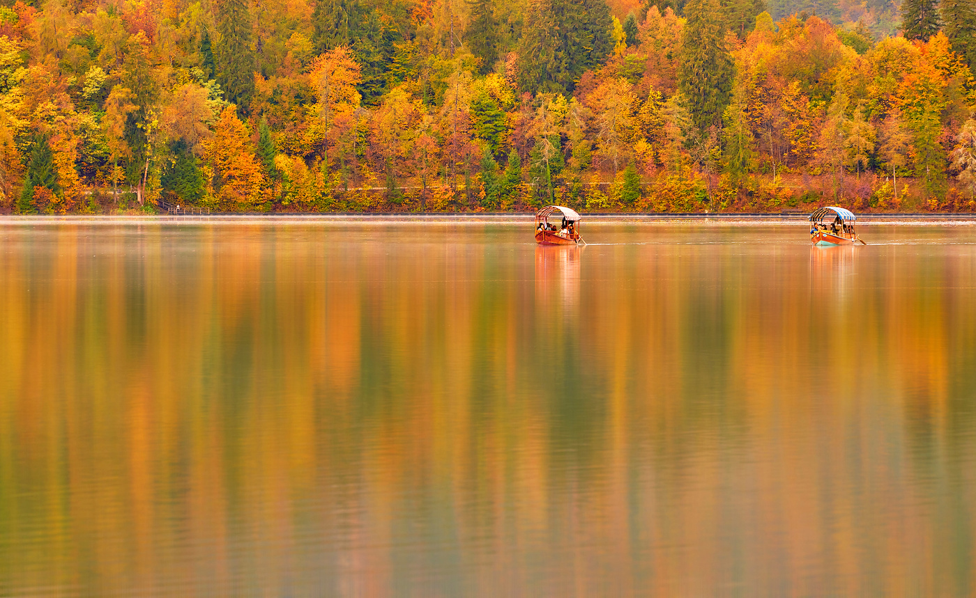 Цвета Осени...