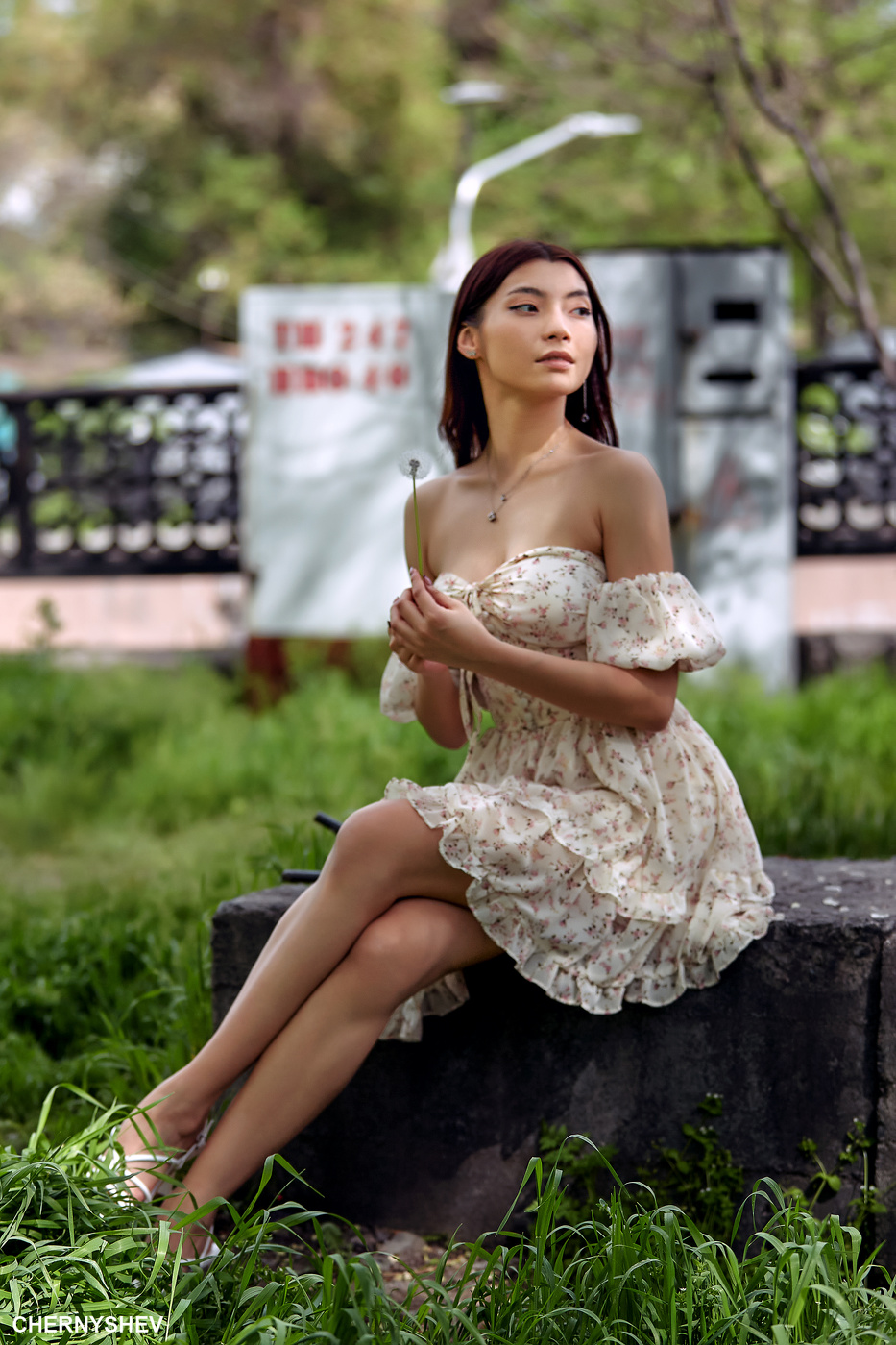 из альбома "логика листьев".