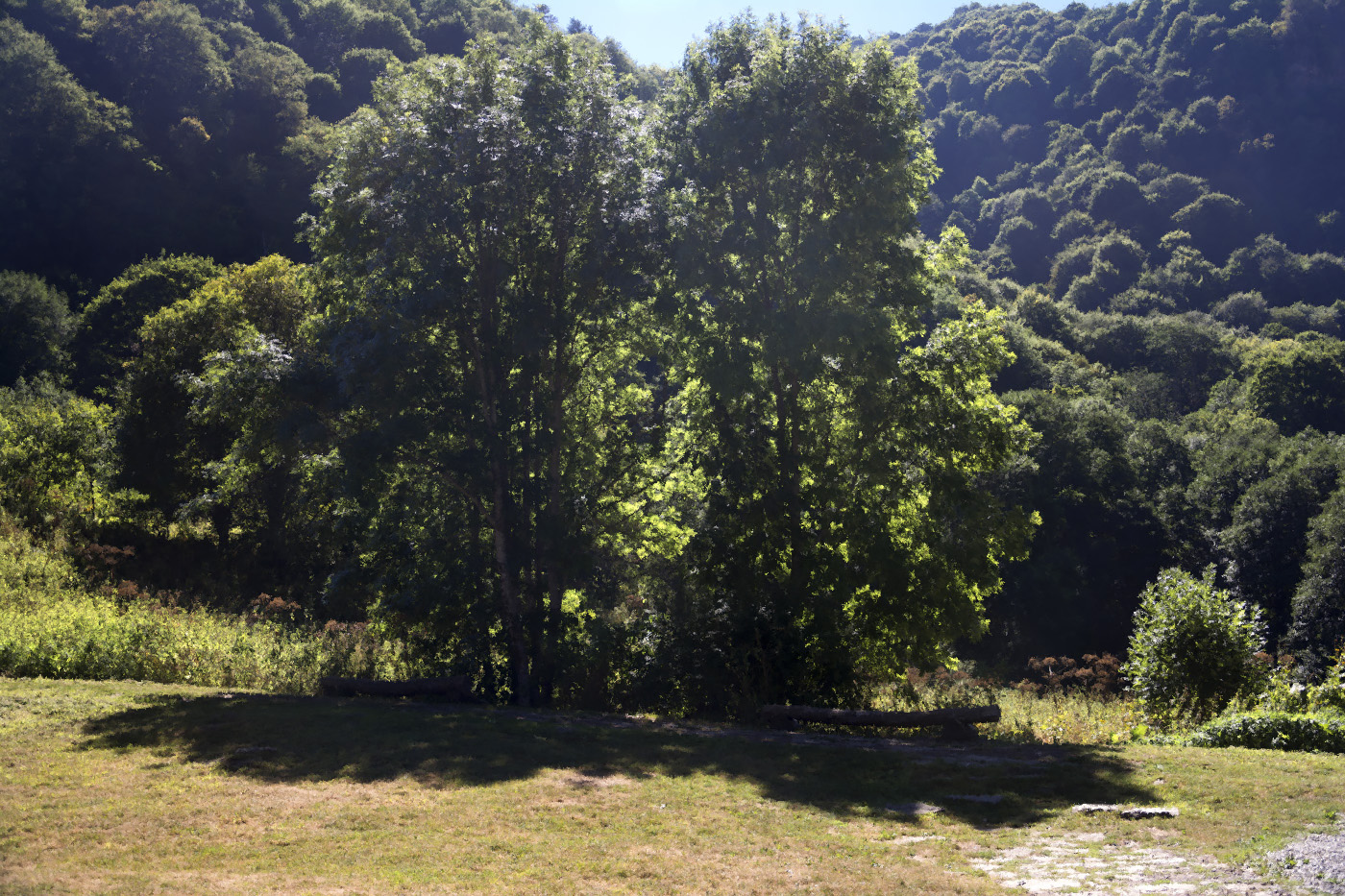 В горах Архыза.