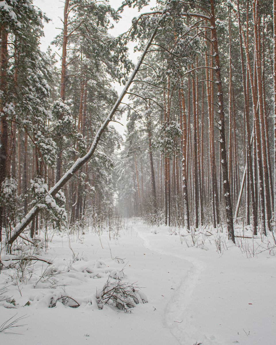 Минщина. А через месяц месяц май