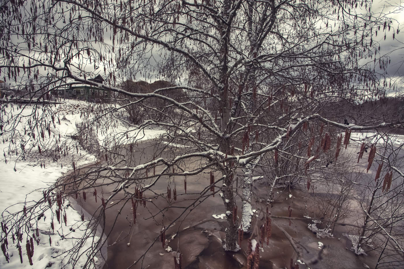 Жизнь вокруг