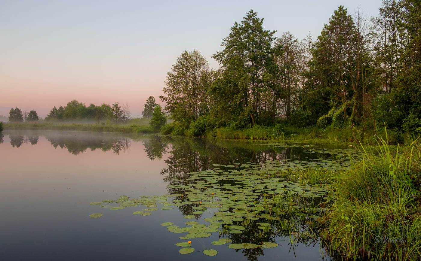 Летнее утро.