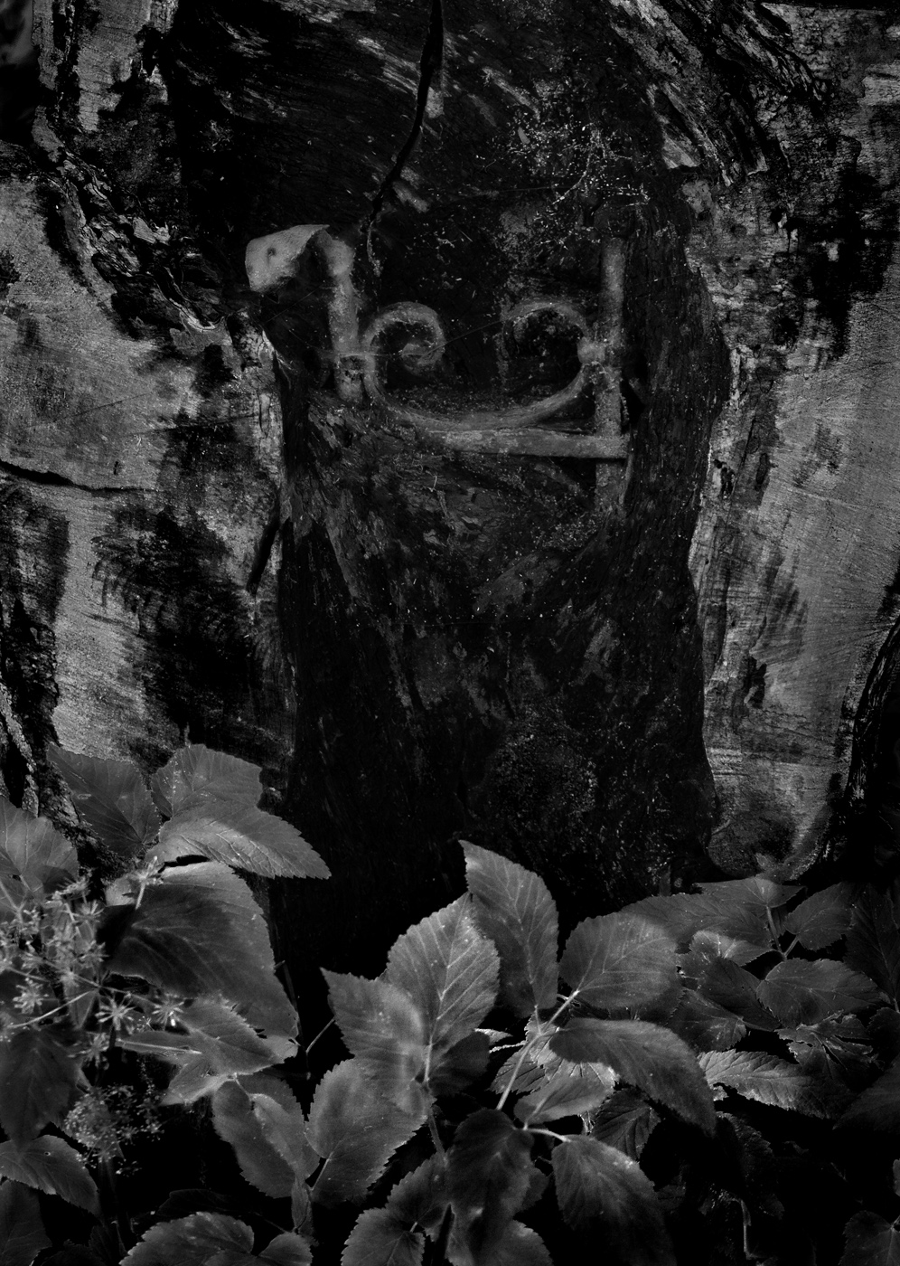 Срастание-3