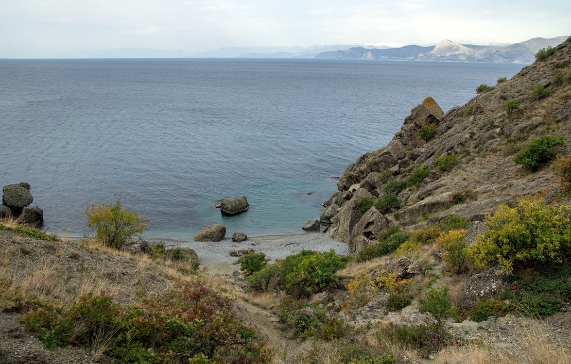 Хмурое утро...