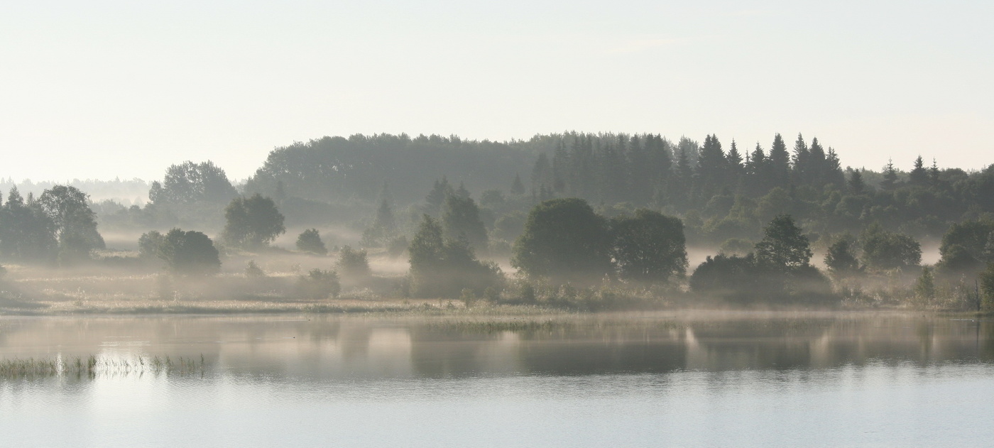 Утро на реке