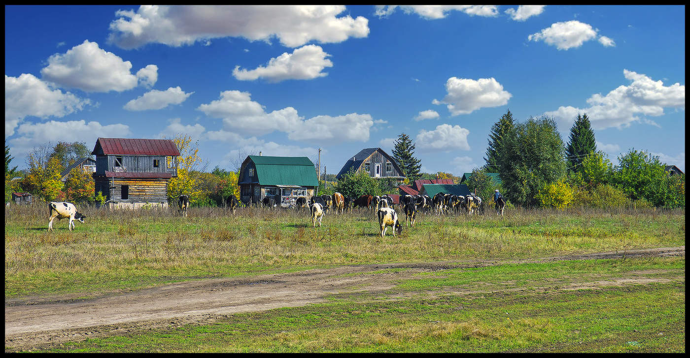 Хорошо в деревне