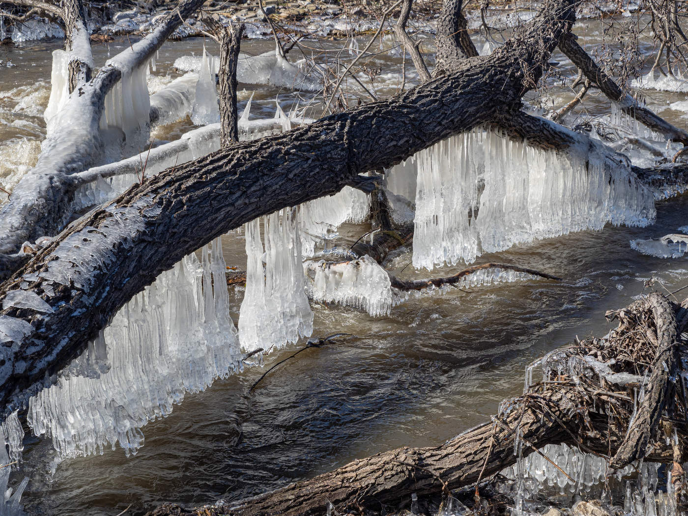 Зима не сдается