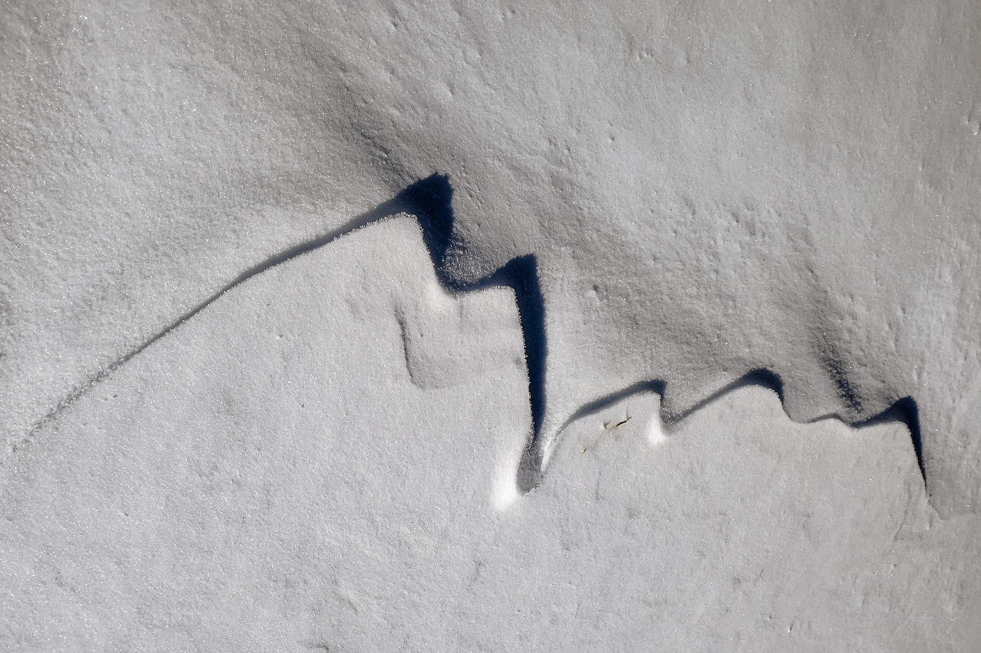 Почерк зимы