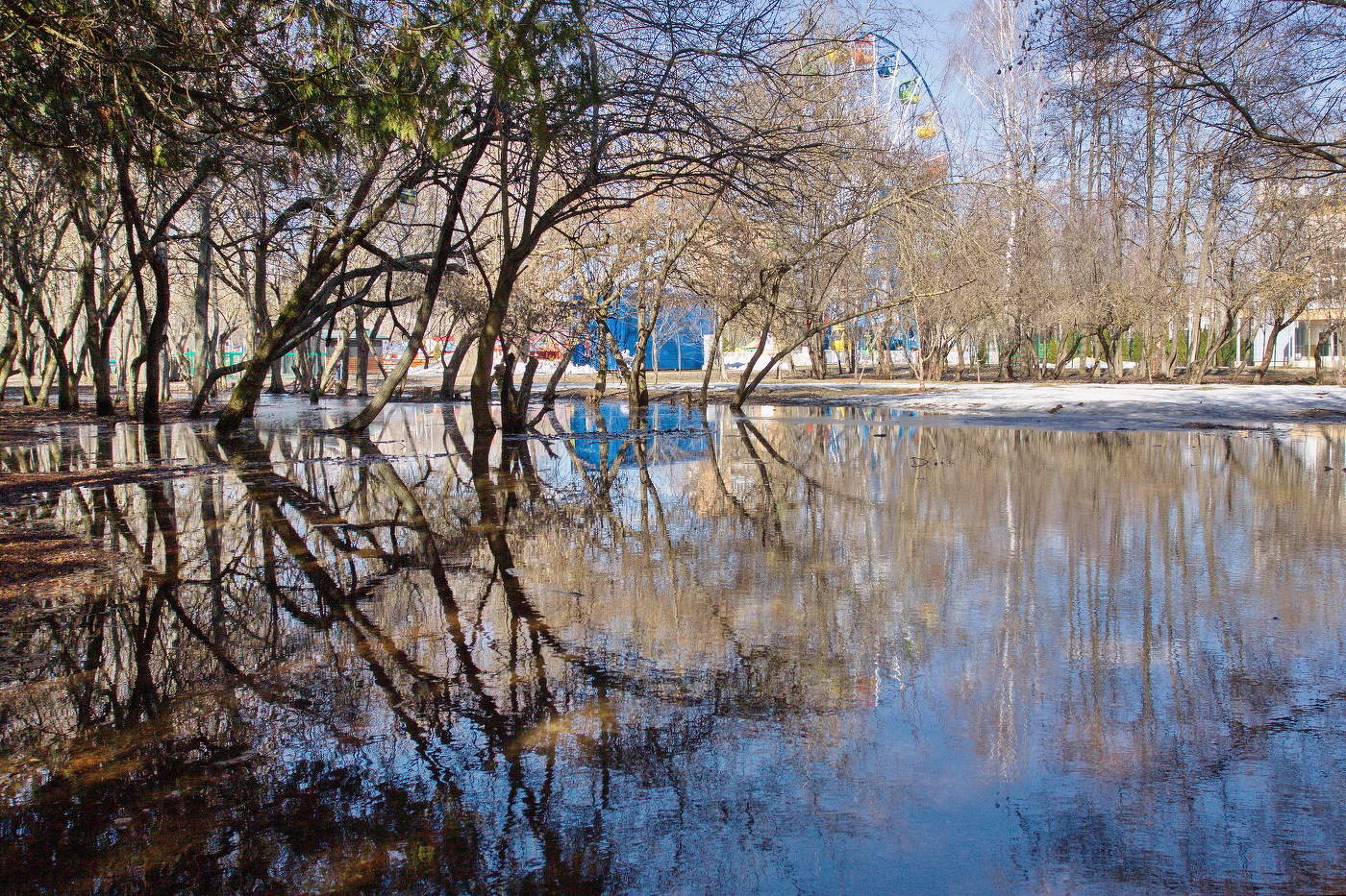 Весенняя палитра городского парка