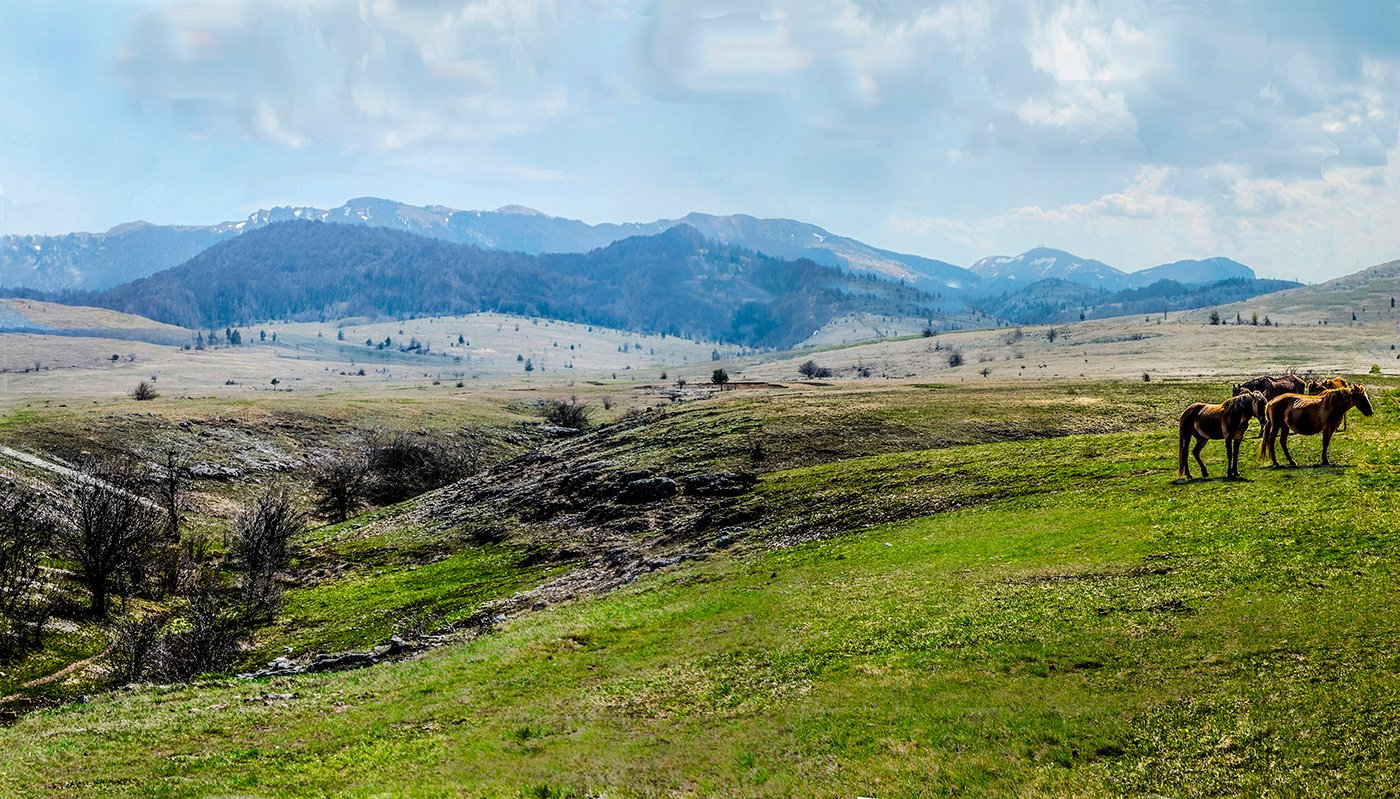 Весенний этюд