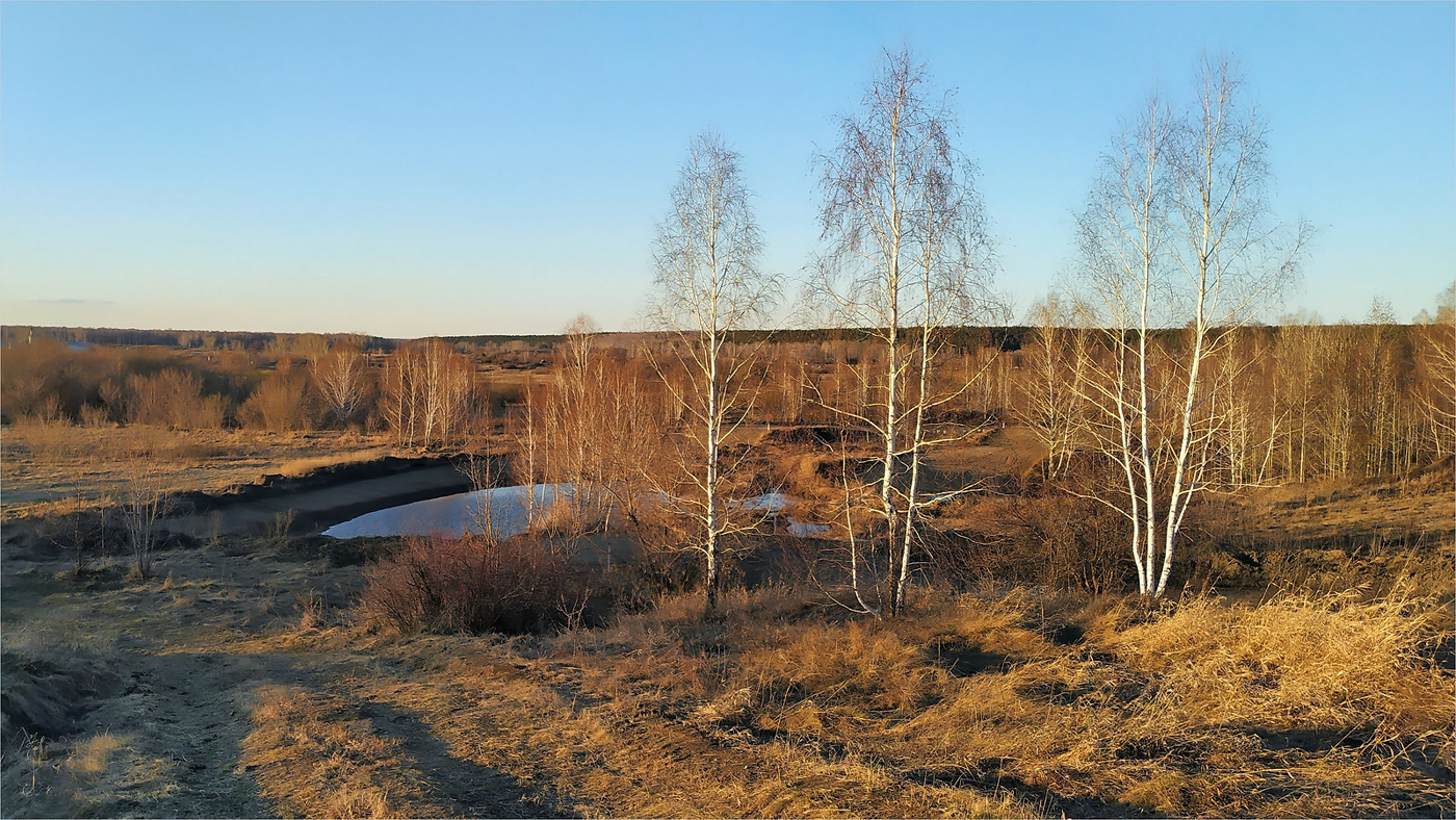 Ранневесеннее