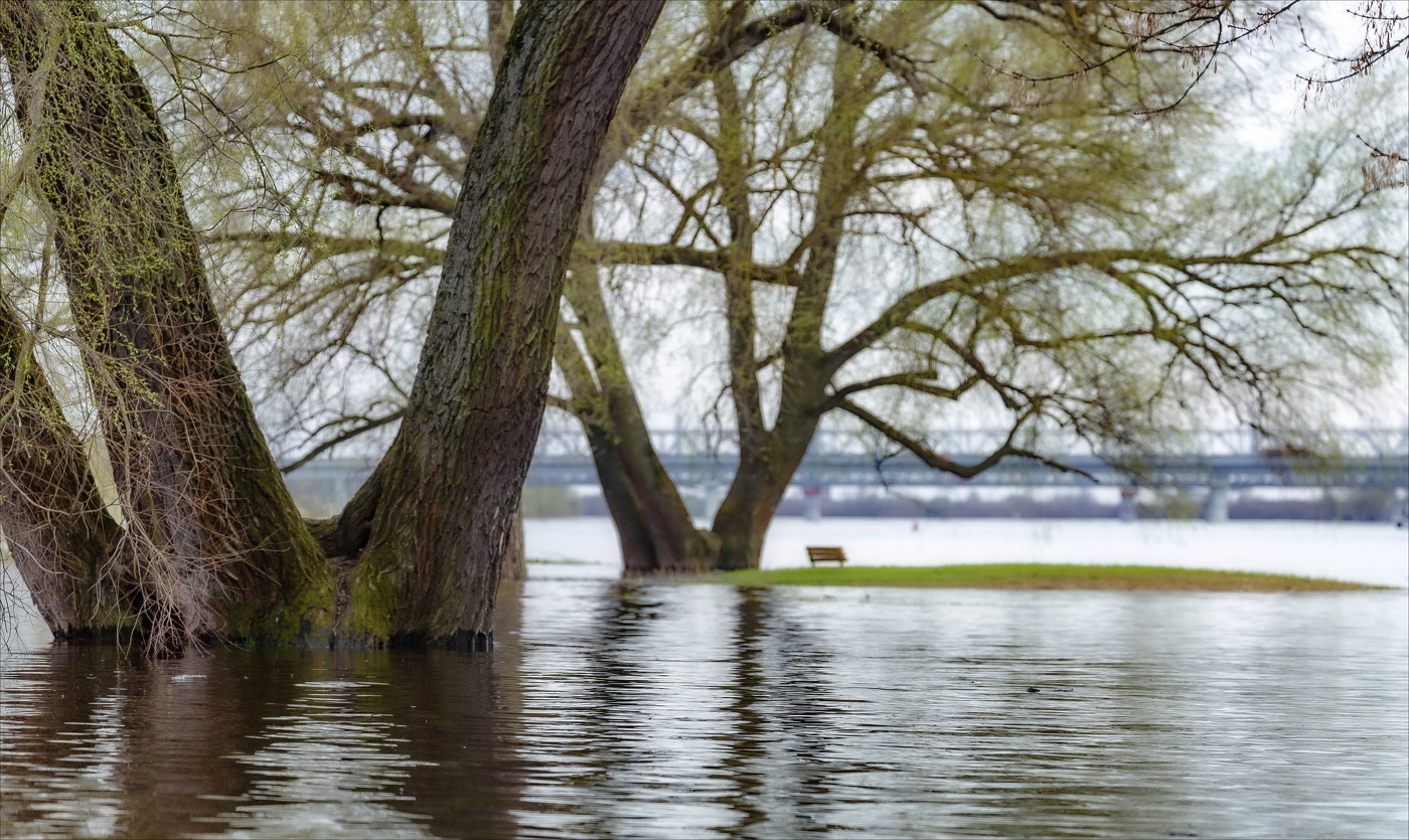 Весенний островок