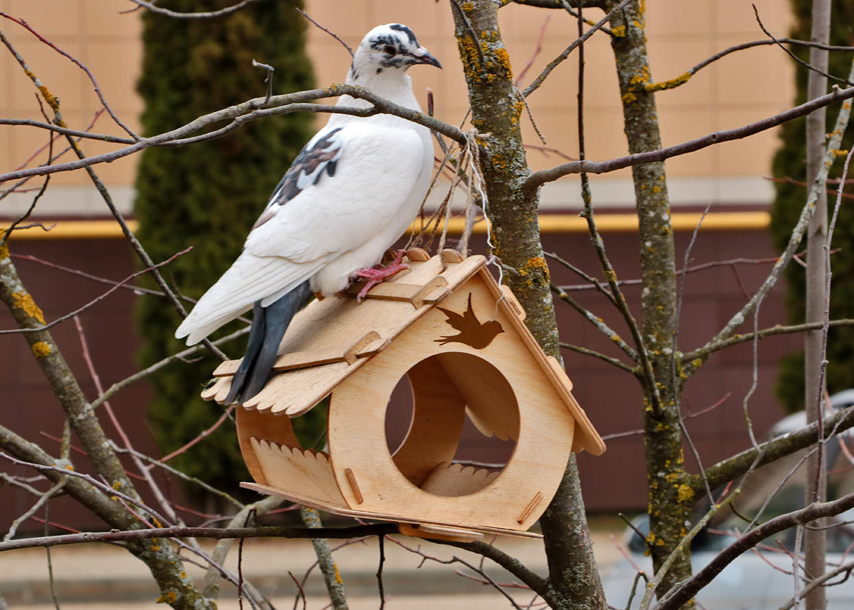 Чем сегодня тут угощают?..