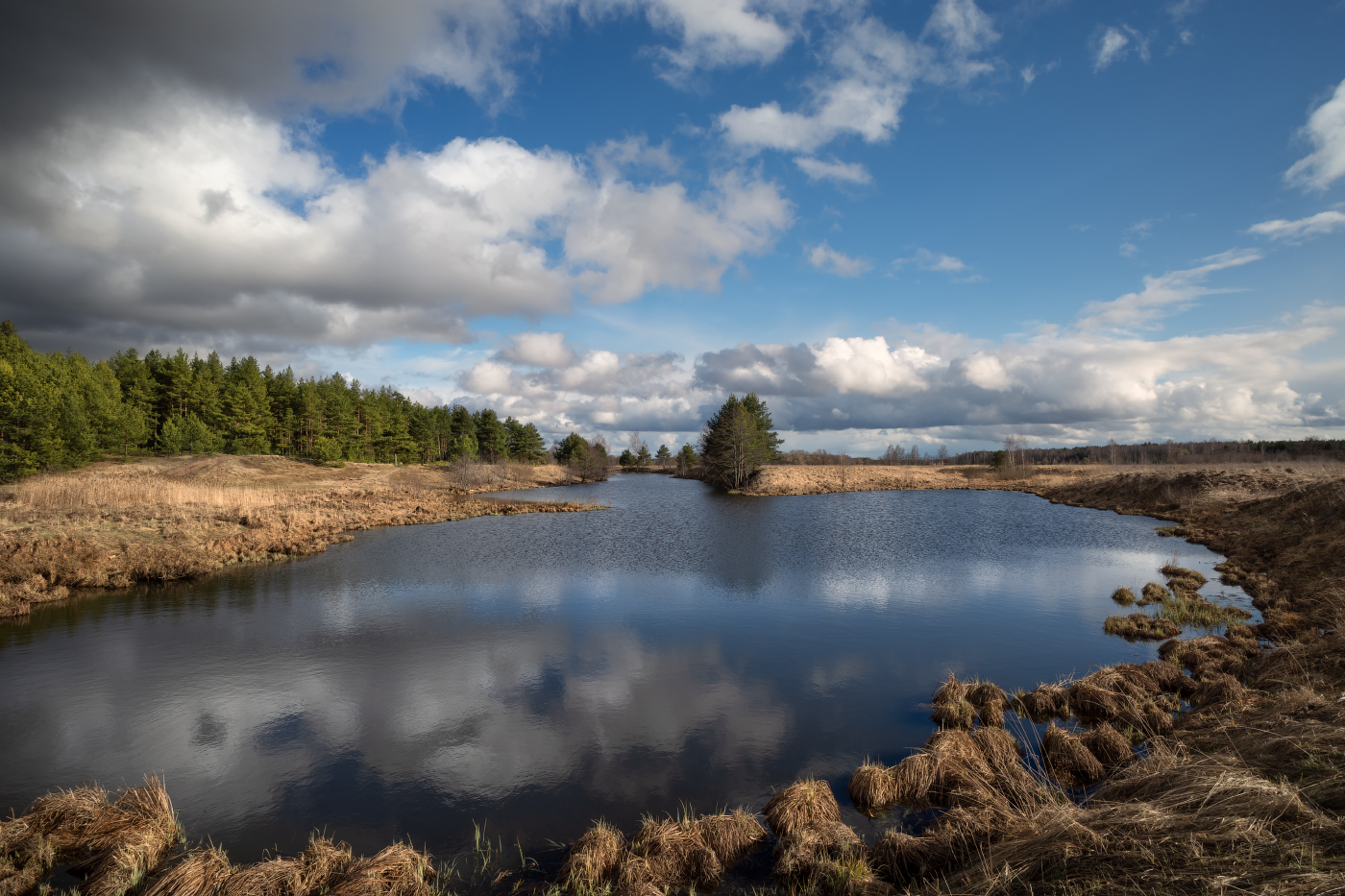 весенний день
