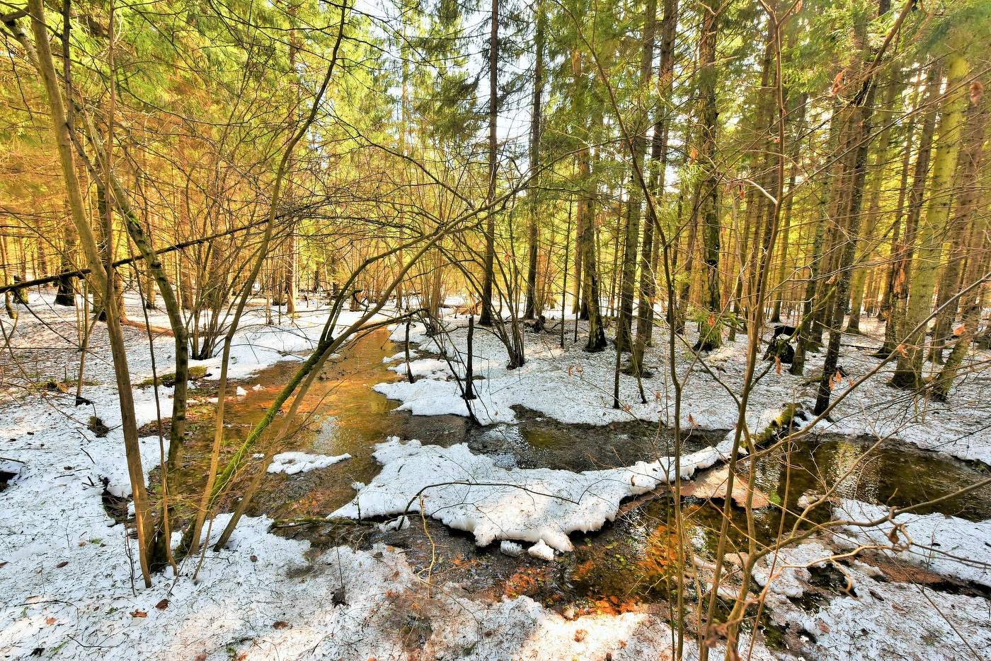 "Весна кружится в роще пробужденной ..."