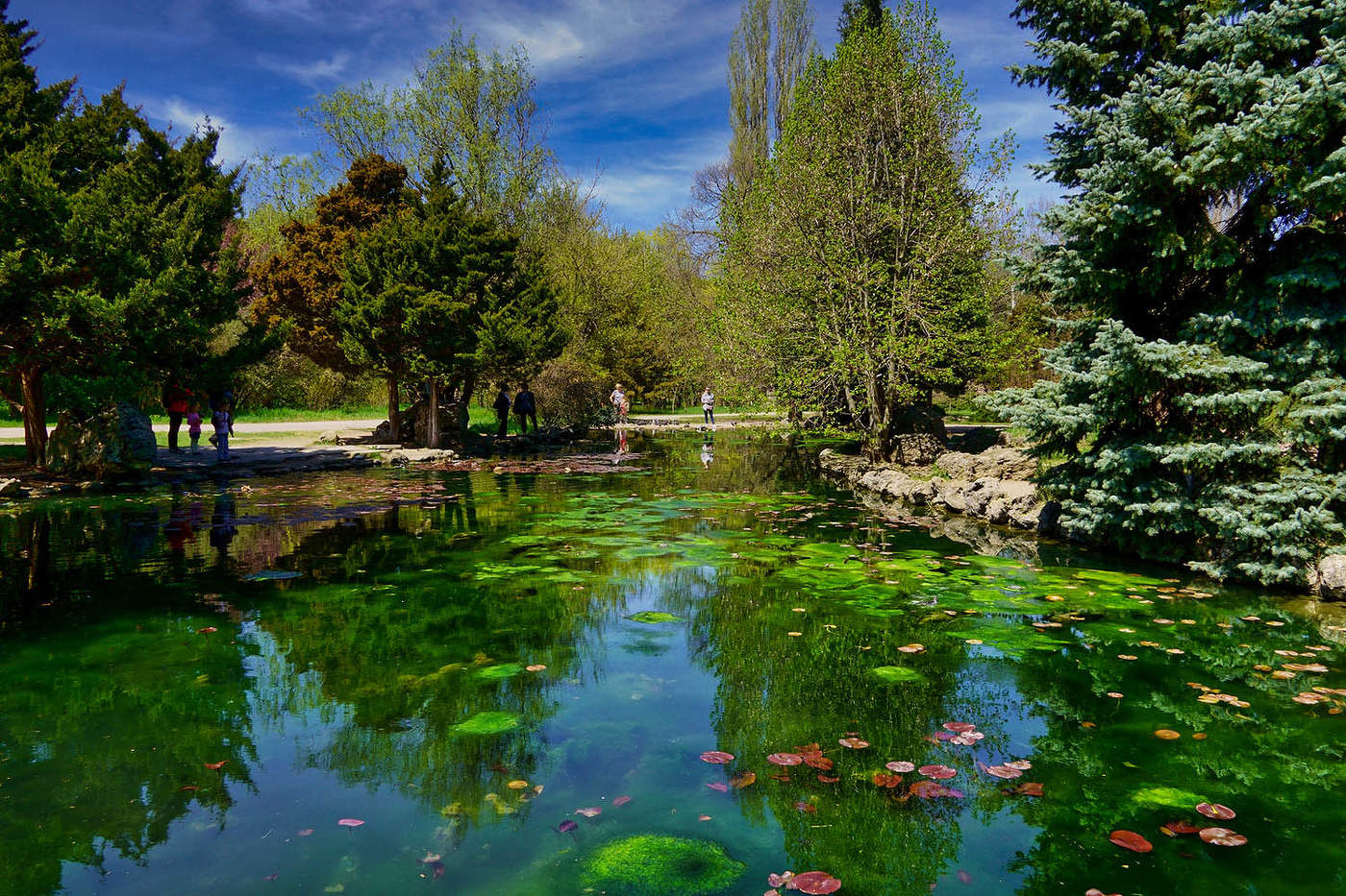 В ботаническом саду Крымского Федерального университета