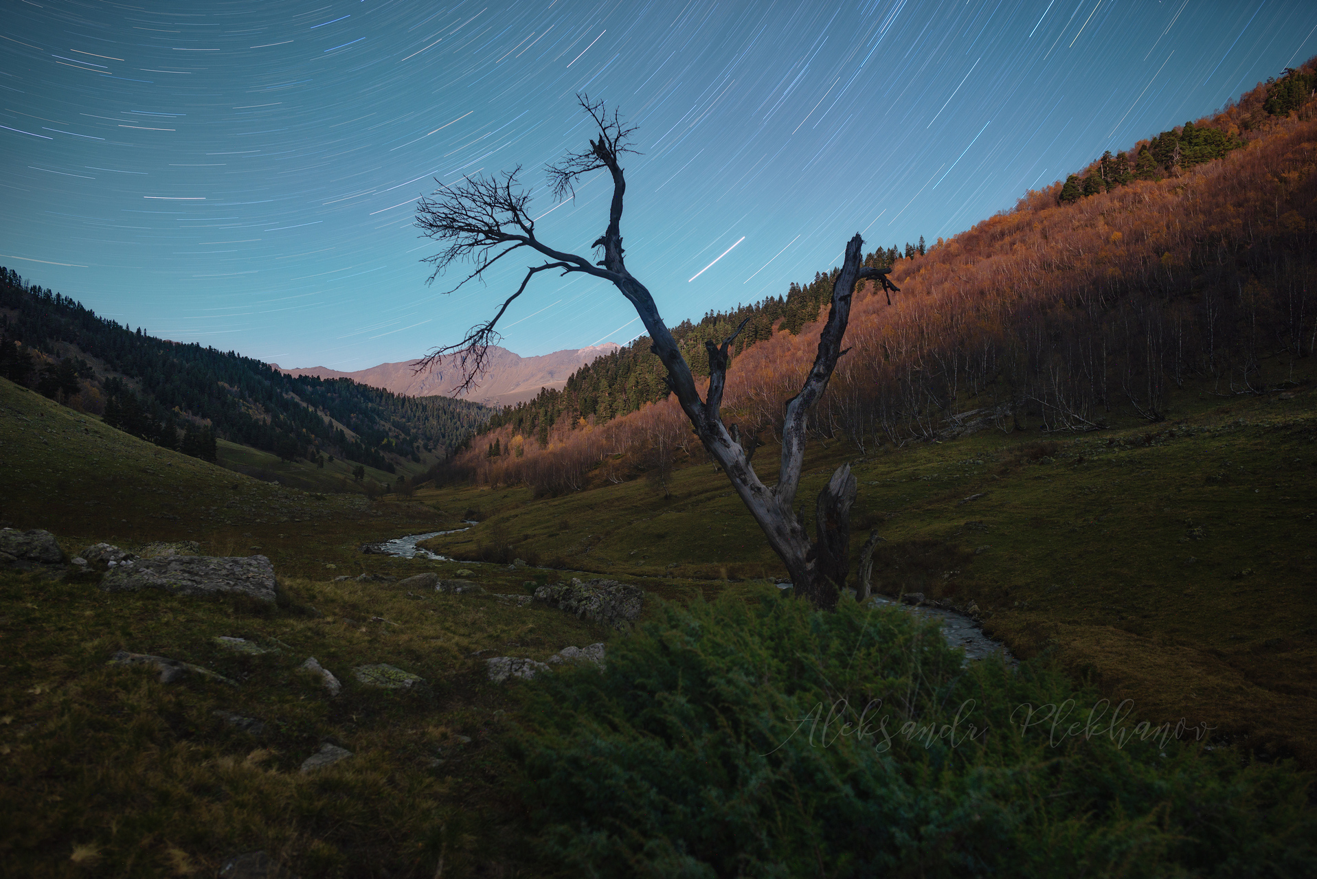 Провожая звёзды