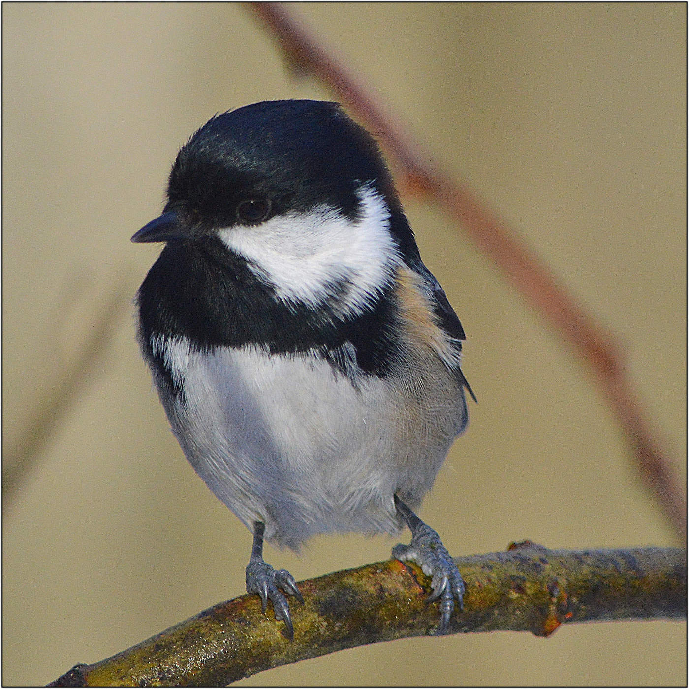 Точно будут фотографии?