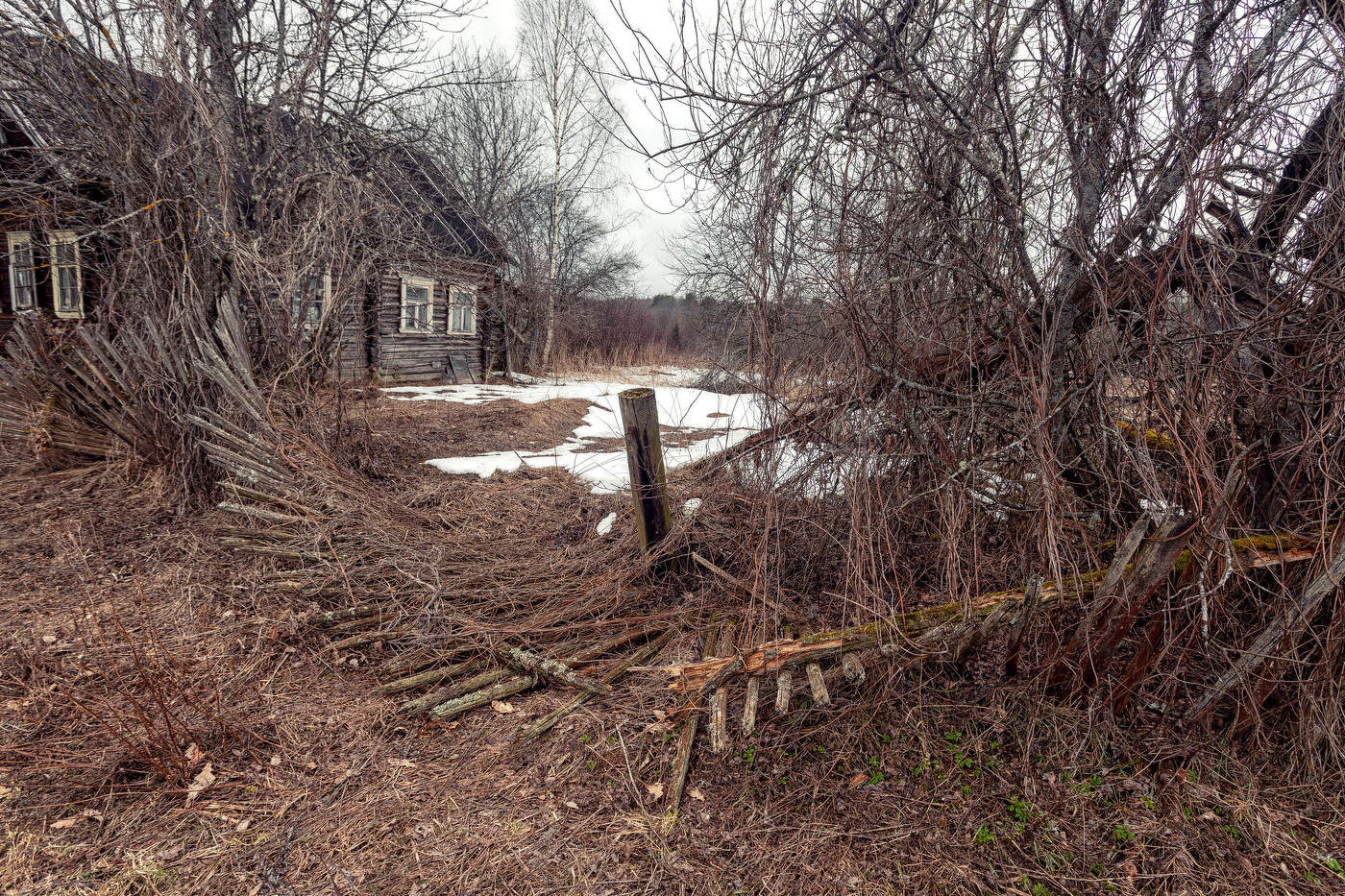 Жизнь вокруг