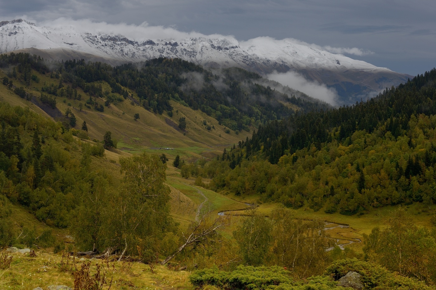 Осеннее утро