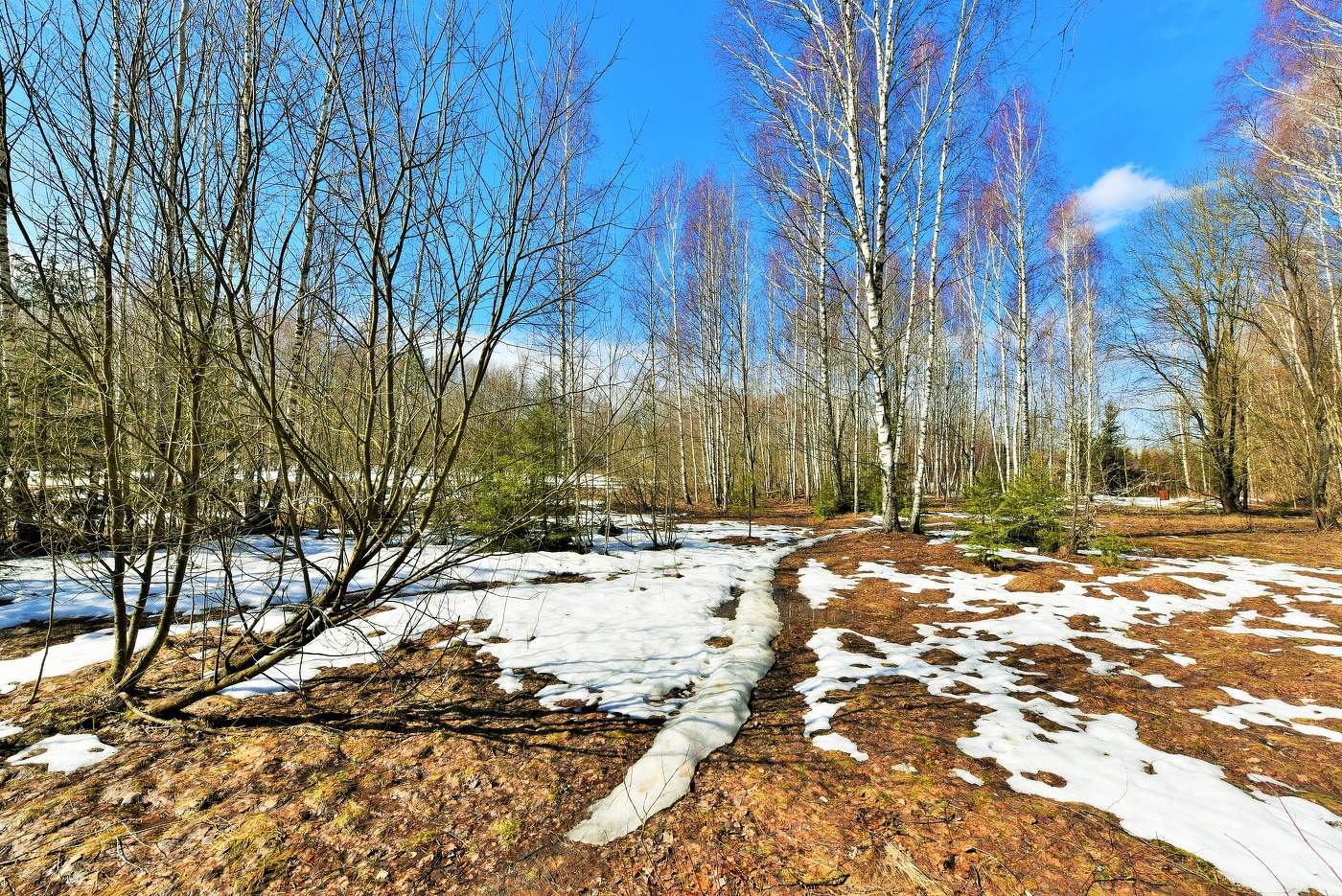 "Целуя март, обняв его за плечи, она ему шепнула:"Начинай"...