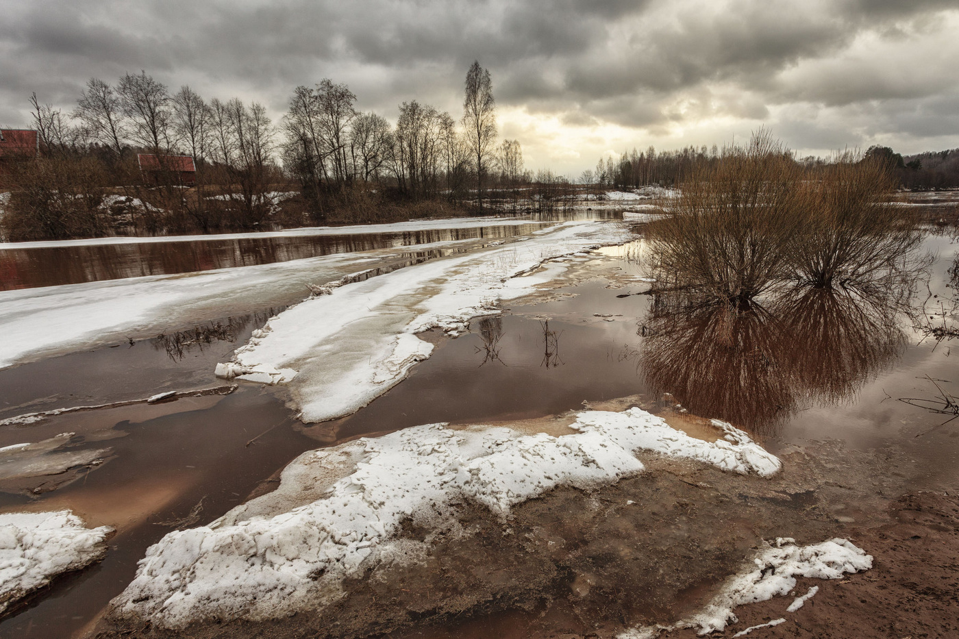 Жизнь вокруг