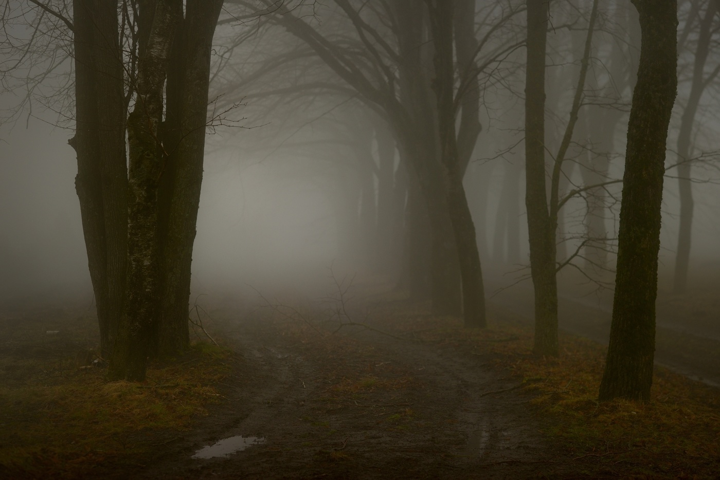 Осенний путь