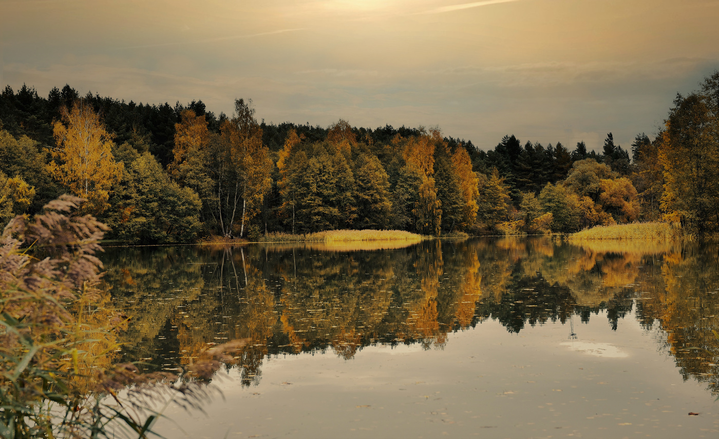 Медовые краски осени.