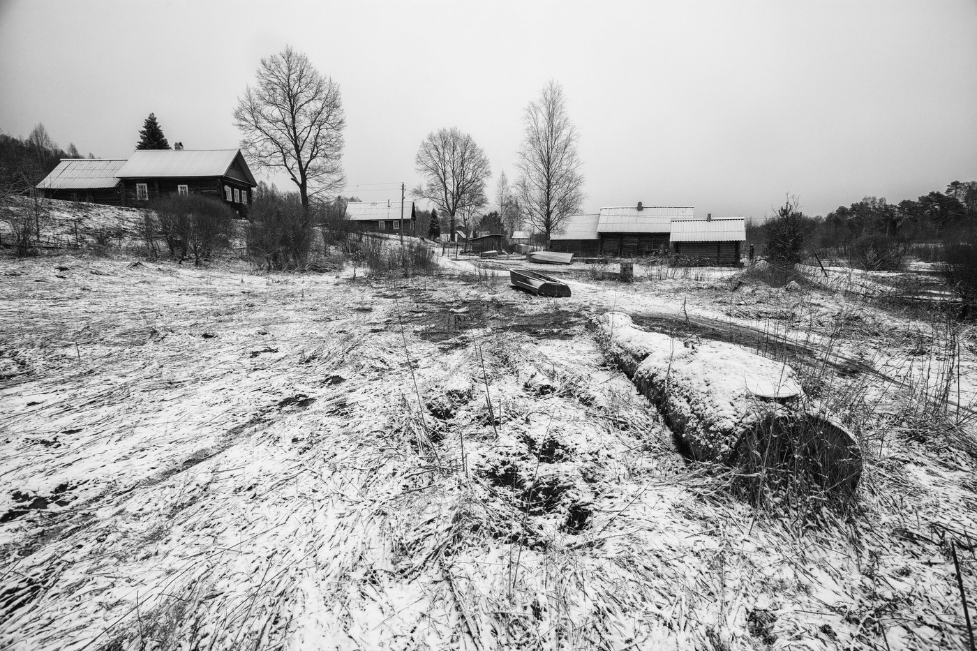 Жизнь вокруг