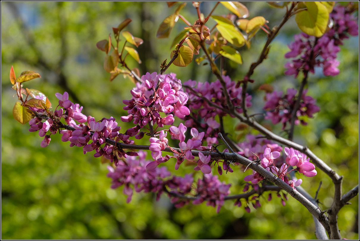 На дворе апрель.