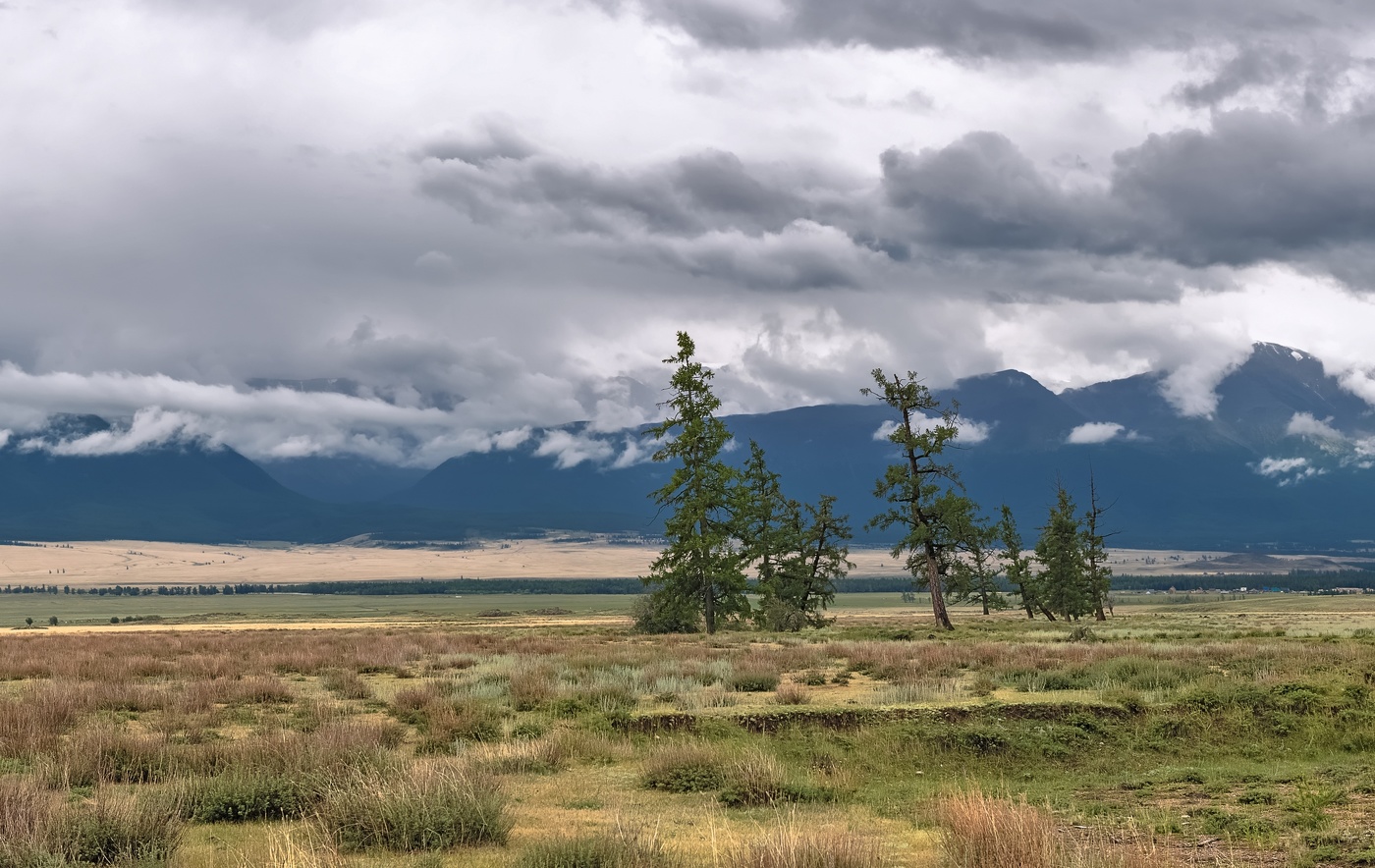 После дождя