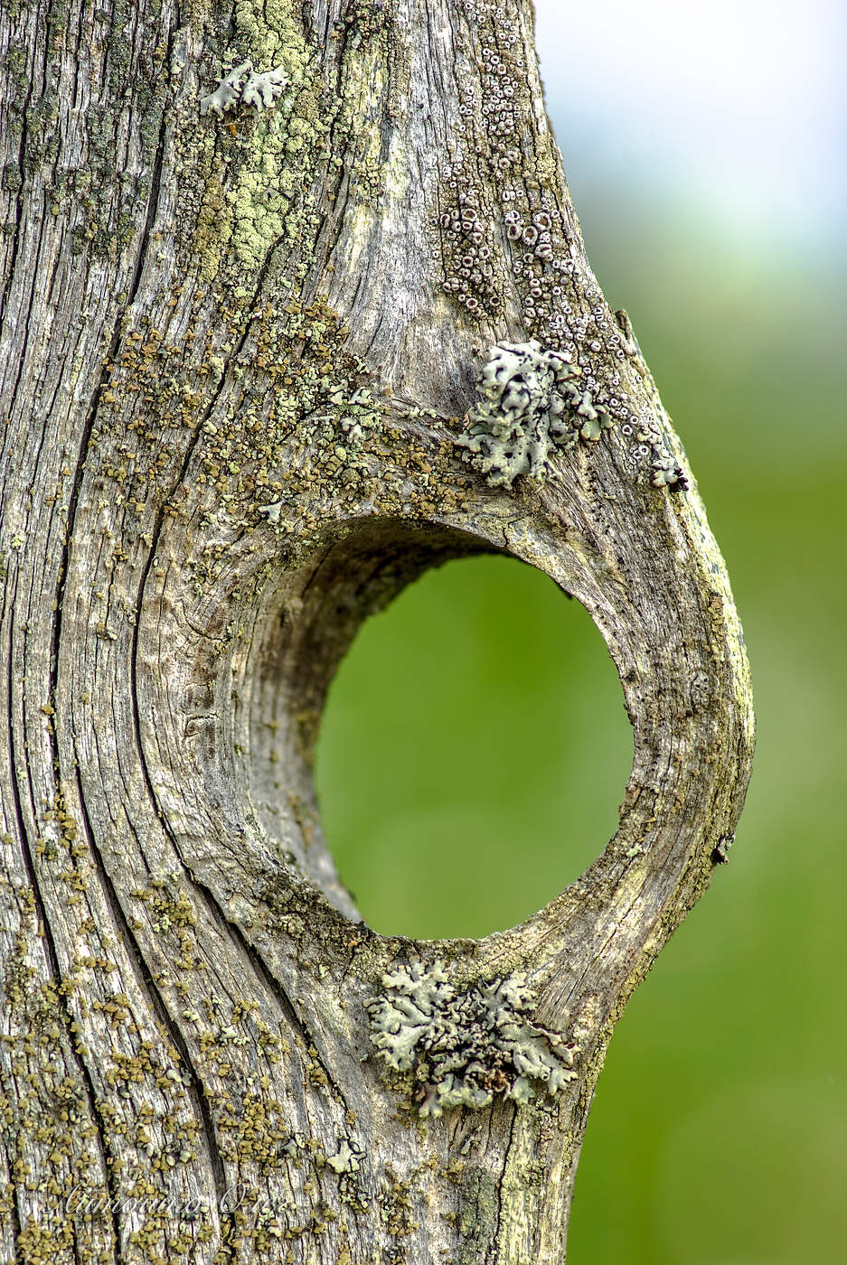 Дырка в заборе.