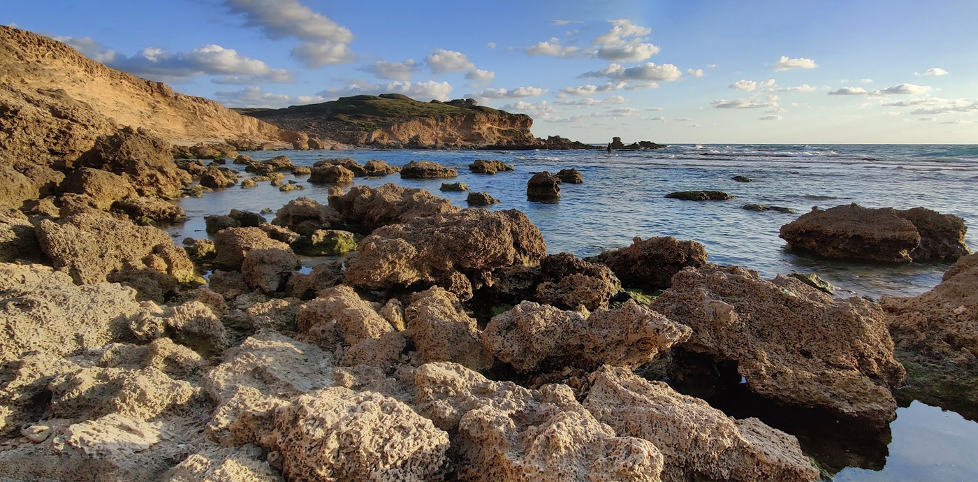 Прогулка к морю!