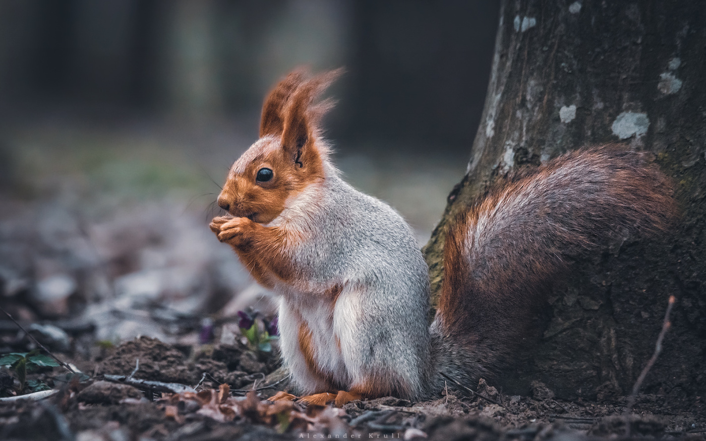 Вечер в парке