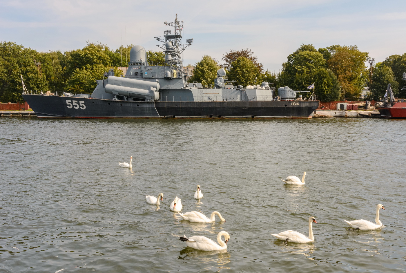 водоплавающие