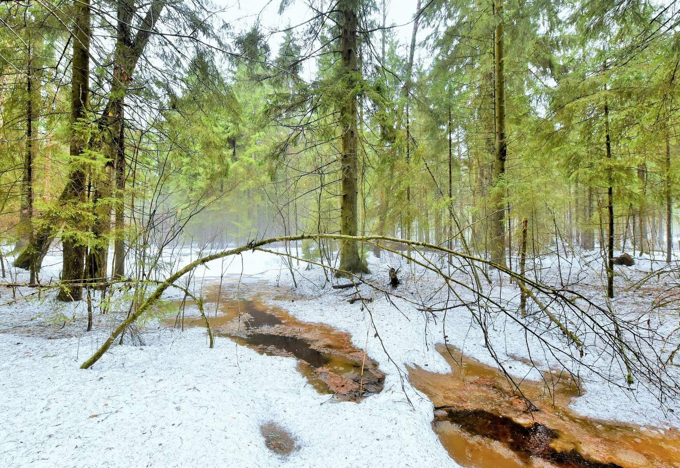 "Все началось с простой капели и вот уже текут снега..."