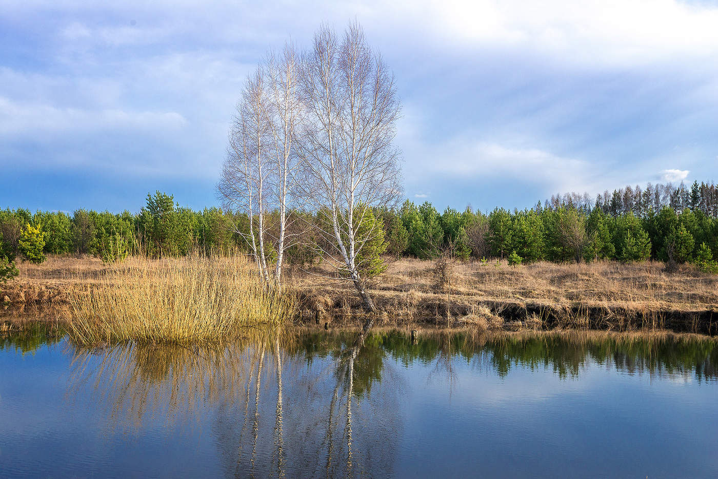 Ранняя весна...