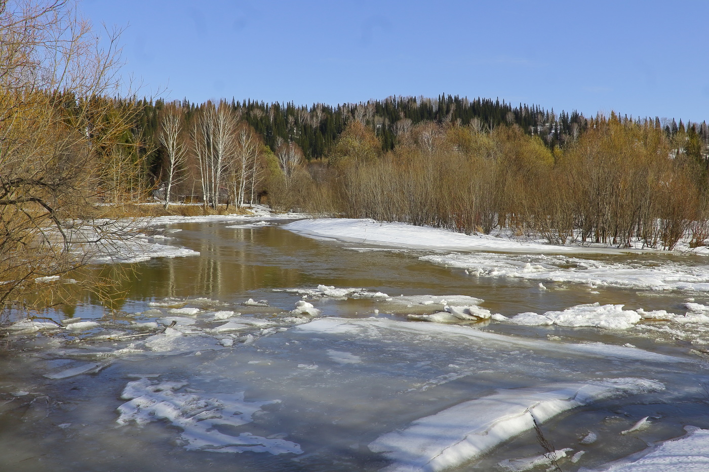 В тайгу пришла весна